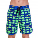 Herenzwemkleding 69SLAM Short Boardshort Medium Elephant Green