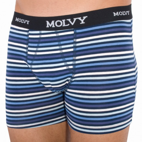 2PACK herenboxershort Molvy veelkleurig (KP-044-BEU)