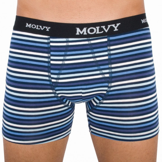 2PACK herenboxershort Molvy veelkleurig (KP-044-BEU)