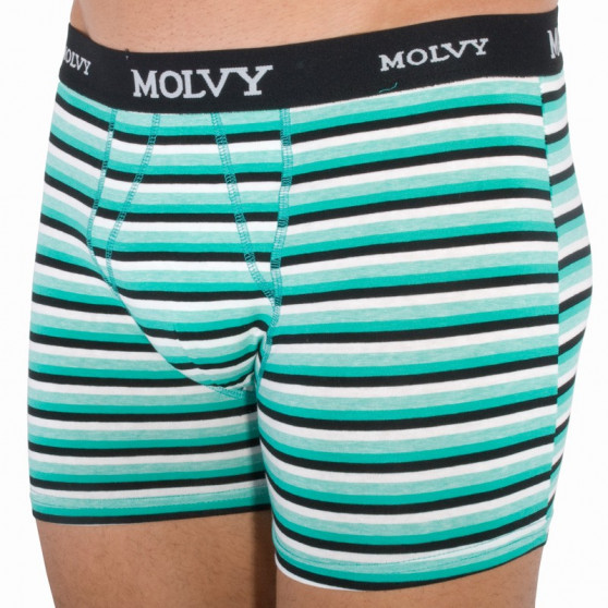 2PACK herenboxershort Molvy veelkleurig (KP-044-BEU)