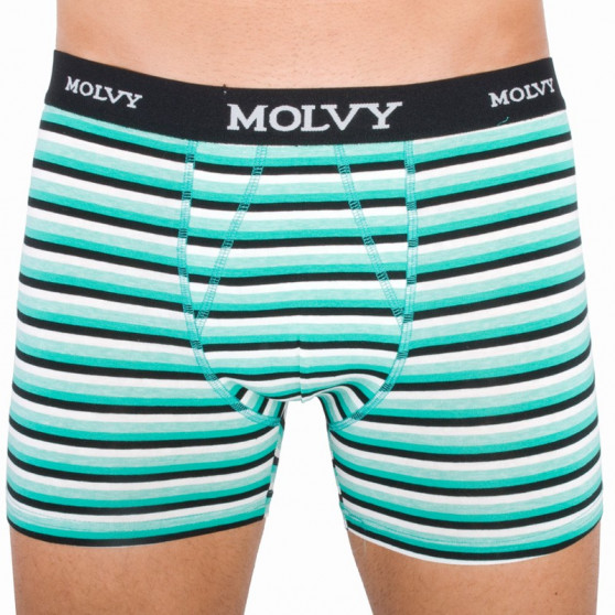 2PACK herenboxershort Molvy veelkleurig (KP-044-BEU)