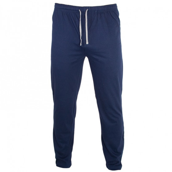 Herenpyjama lang Molvy blauw grijs gestreept