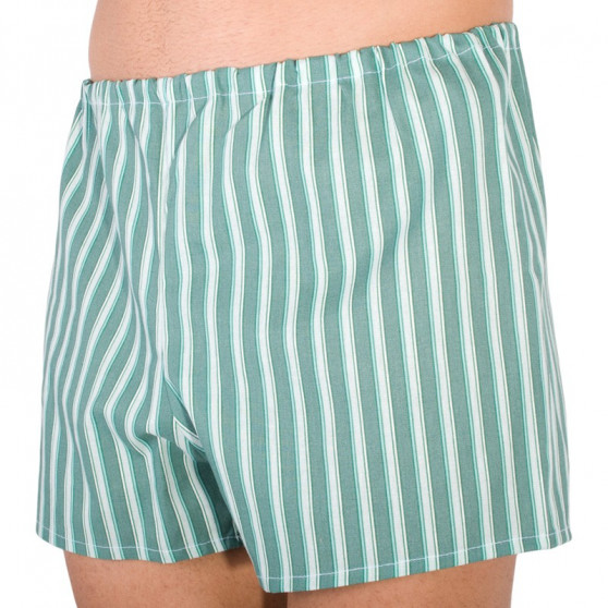 Klassieke Herenboxershort Foltýn groene streep