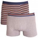 2PACK Herenboxershort  grijs met strepen Molvy