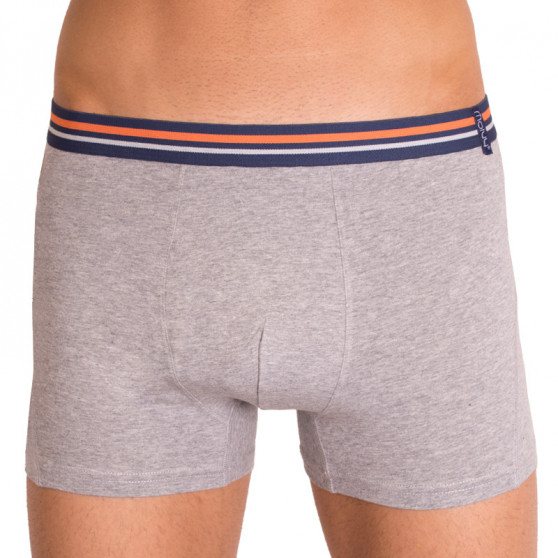 2PACK Herenboxershort  grijs met strepen Molvy