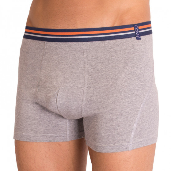 2PACK Herenboxershort  grijs met strepen Molvy