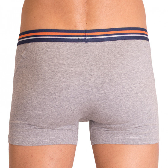 2PACK Herenboxershort  grijs met strepen Molvy