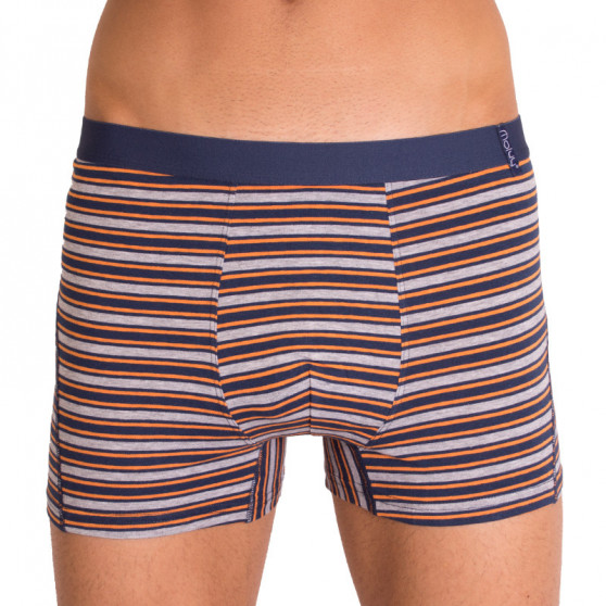 2PACK Herenboxershort  grijs met strepen Molvy