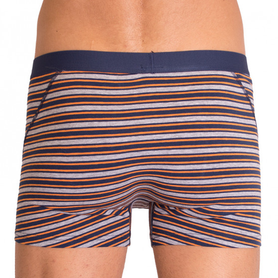 2PACK Herenboxershort  grijs met strepen Molvy