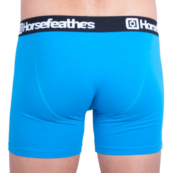 Herenboxershort Horsefeathers Dynasty blauw (AA540F)