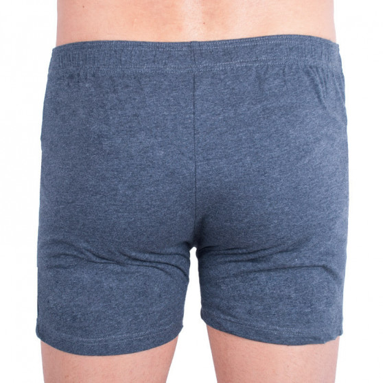 2PACK Herenboxershort Molvy veelkleurig (KP-027-BEUb)