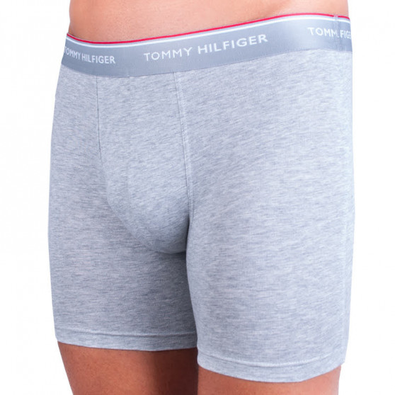 3PACK herenboxershort Tommy Hilfiger veelkleurig (UM0UM00010 004)