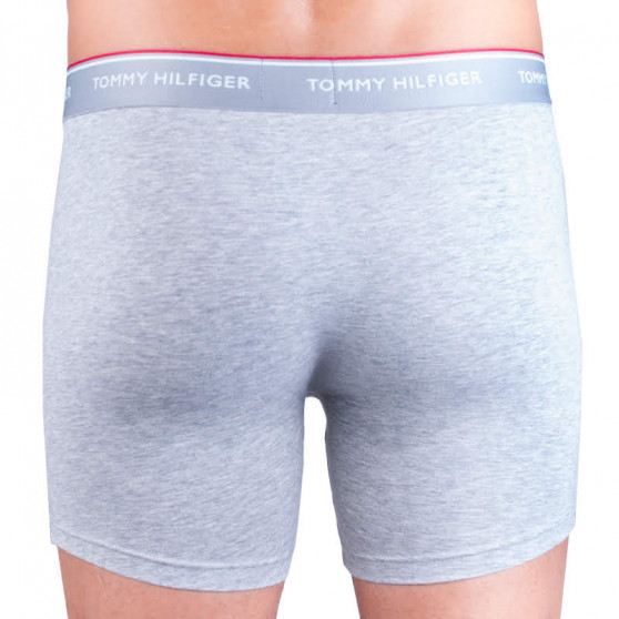 3PACK herenboxershort Tommy Hilfiger veelkleurig (UM0UM00010 004)