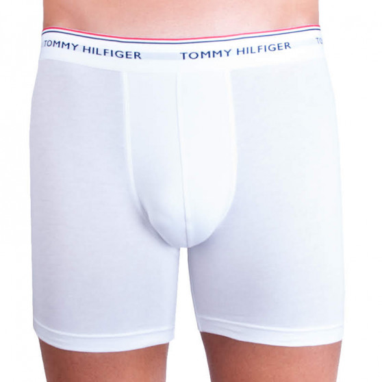 3PACK herenboxershort Tommy Hilfiger veelkleurig (UM0UM00010 004)