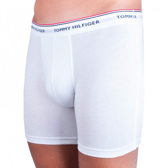 3PACK herenboxershort Tommy Hilfiger veelkleurig (UM0UM00010 004)