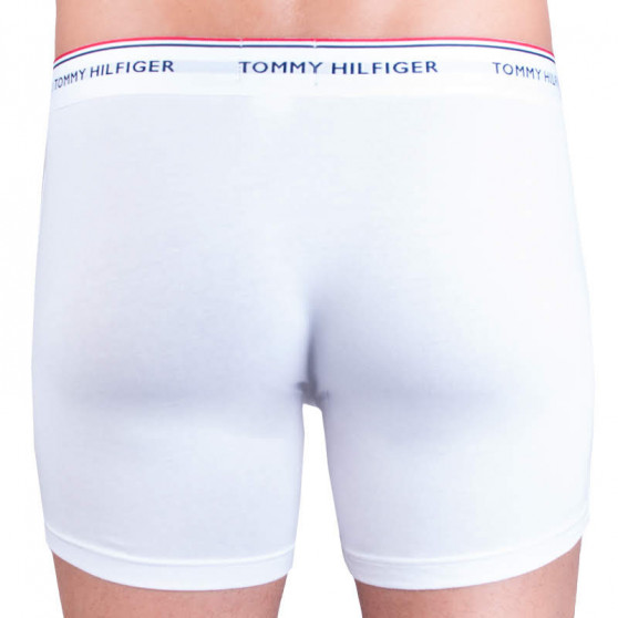 3PACK herenboxershort Tommy Hilfiger veelkleurig (UM0UM00010 004)