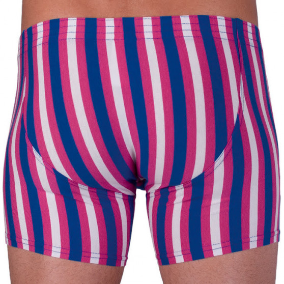 Herenboxershort Styx lang klassiek elastisch meerkleurig (F864)