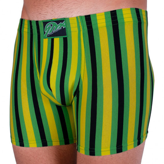 Herenboxershort Styx lang klassiek elastisch meerkleurig (F865)