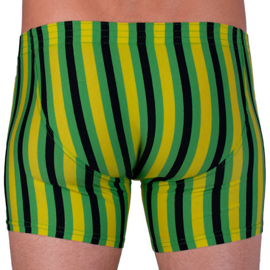 Herenboxershort Styx lang klassiek elastisch meerkleurig (F865)