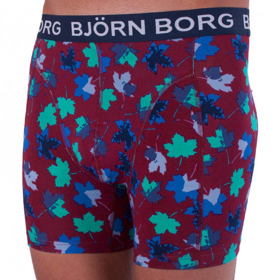 2PACK herenboxershort Bjorn Borg veelkleurig (1841-1204-40501)