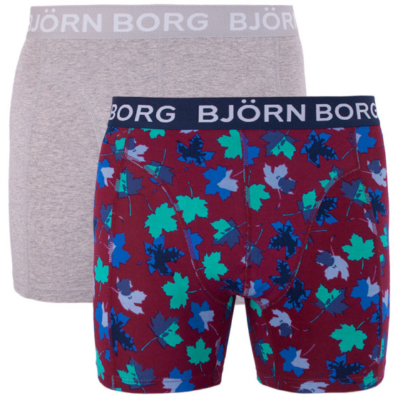 2PACK herenboxershort Bjorn Borg veelkleurig (1841-1204-40501)