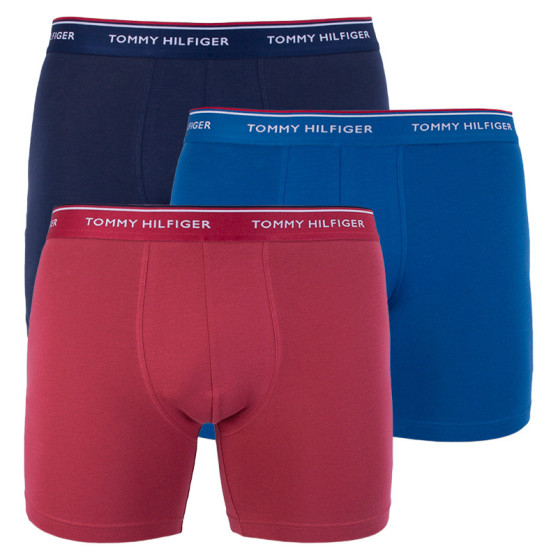 3PACK herenboxershort Tommy Hilfiger veelkleurig (UM0UM00010 071)