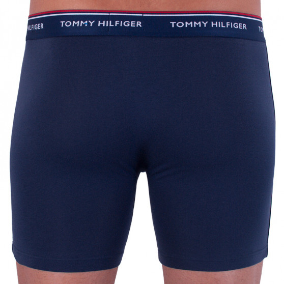 3PACK herenboxershort Tommy Hilfiger veelkleurig (UM0UM00010 071)