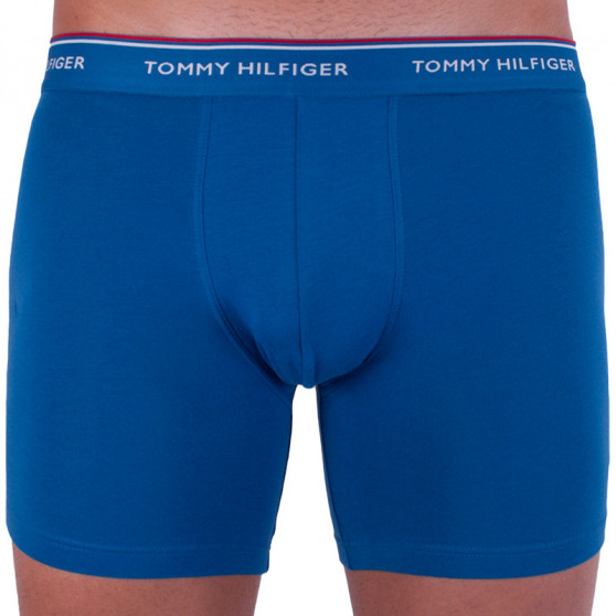 3PACK herenboxershort Tommy Hilfiger veelkleurig (UM0UM00010 071)