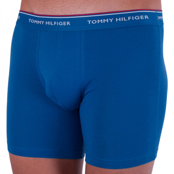 3PACK herenboxershort Tommy Hilfiger veelkleurig (UM0UM00010 071)