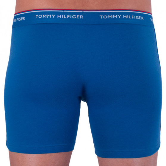 3PACK herenboxershort Tommy Hilfiger veelkleurig (UM0UM00010 071)