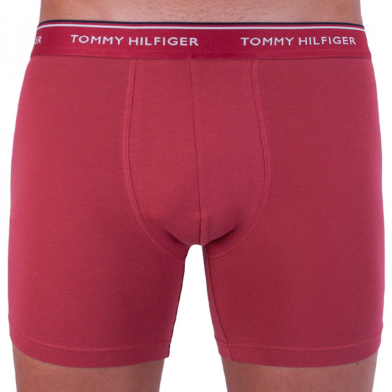 3PACK herenboxershort Tommy Hilfiger veelkleurig (UM0UM00010 071)