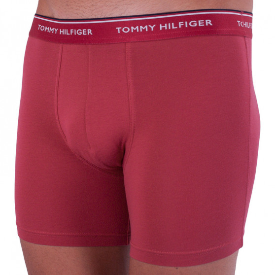 3PACK herenboxershort Tommy Hilfiger veelkleurig (UM0UM00010 071)