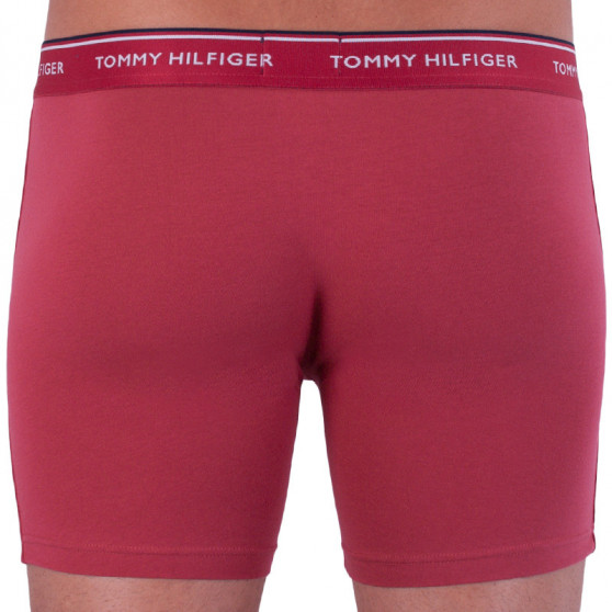 3PACK herenboxershort Tommy Hilfiger veelkleurig (UM0UM00010 071)