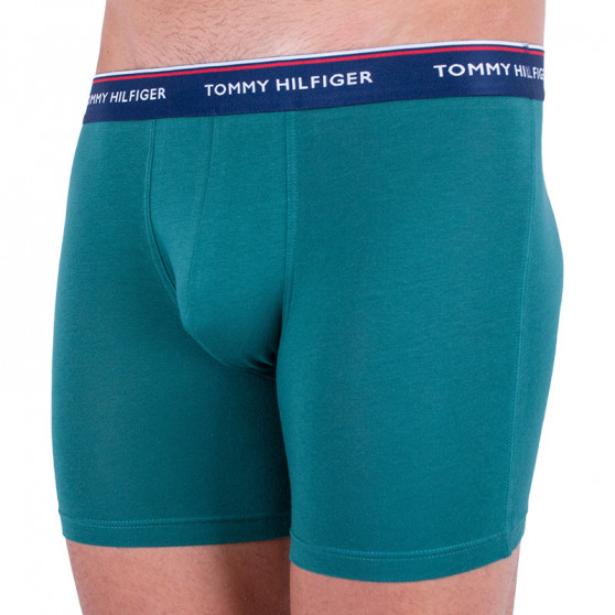 3PACK herenboxershort Tommy Hilfiger veelkleurig (UM0UM00010 052)