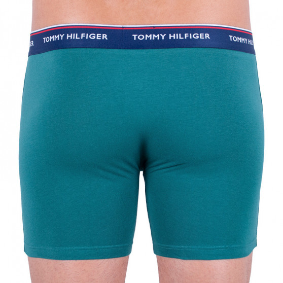 3PACK herenboxershort Tommy Hilfiger veelkleurig (UM0UM00010 052)