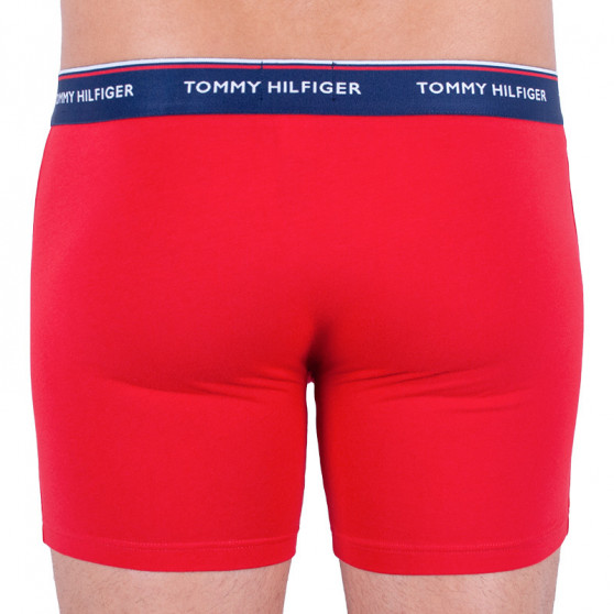 3PACK herenboxershort Tommy Hilfiger veelkleurig (UM0UM00010 052)