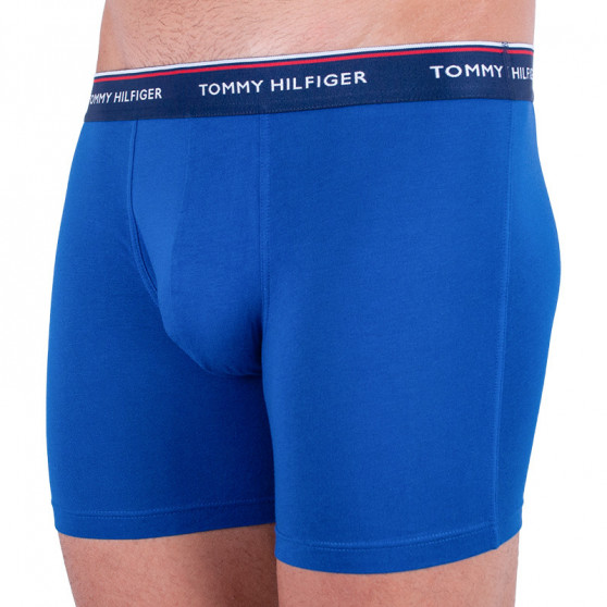 3PACK herenboxershort Tommy Hilfiger veelkleurig (UM0UM00010 052)