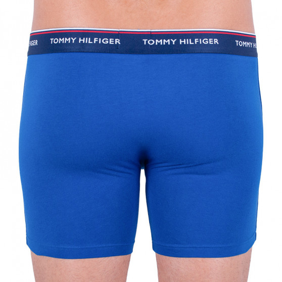 3PACK herenboxershort Tommy Hilfiger veelkleurig (UM0UM00010 052)