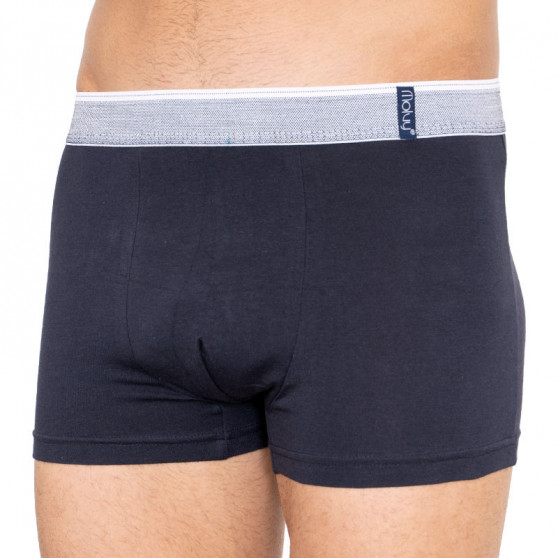 2PACK Herenboxershort Molvy veelkleurig (KP-067-BEU)