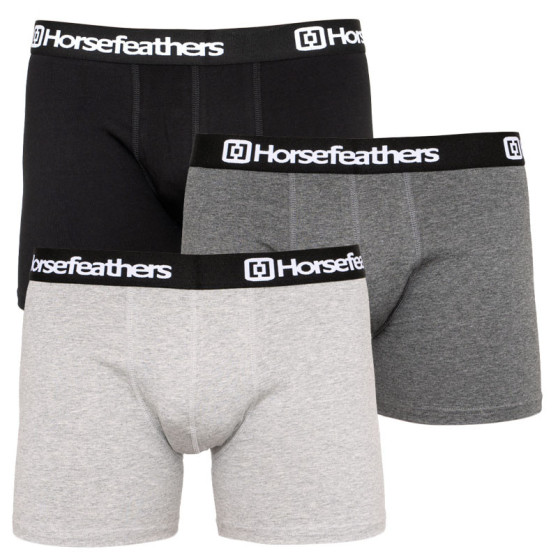 3PACK herenboxershort Horsefeathers veelkleurig (AM067D)