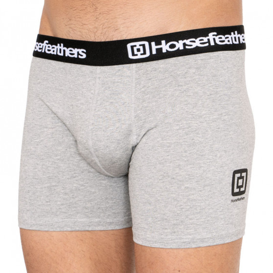 3PACK herenboxershort Horsefeathers veelkleurig (AM067D)