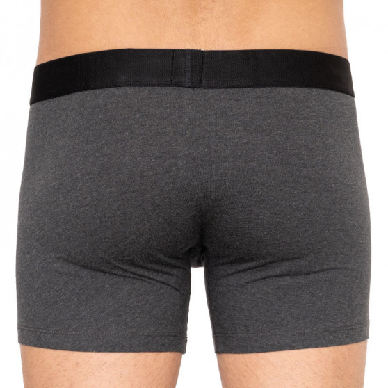 2PACK herenboxershort Levis veelkleurig (995048001 792)