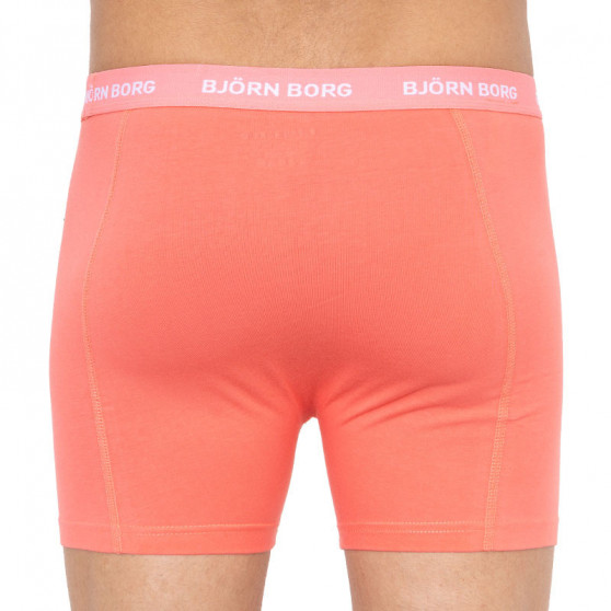 3PACK herenboxershort Bjorn Borg veelkleurig (2011-1004-30621)