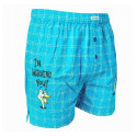 Herenboxershort Andrie turquoise (PS 5465 B)