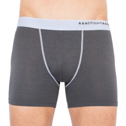 Herenboxershort 69SLAM fit bamboe donkergrijs (MBWDG-BB)