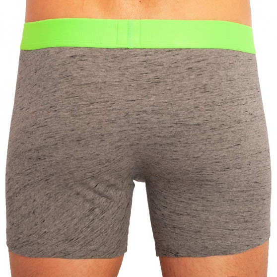 2PACK herenboxershort Levis veelkleurig (100000501 004)