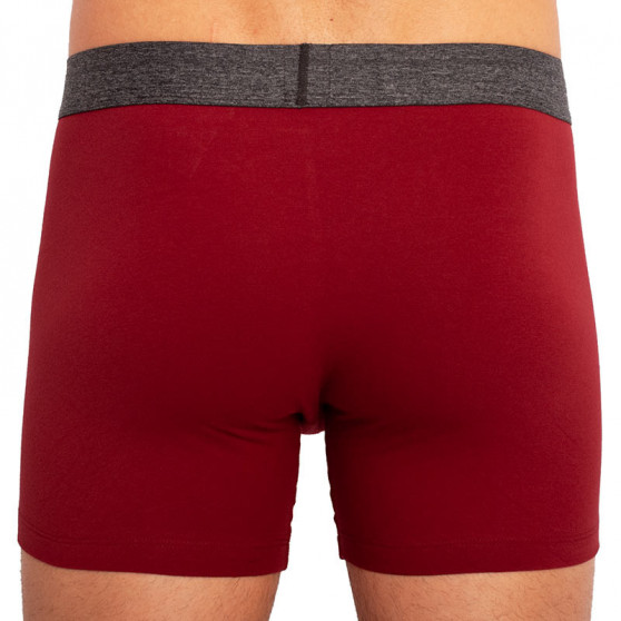 2PACK herenboxershort Levis veelkleurig (100000514 001)