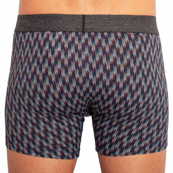 2PACK herenboxershort Levis veelkleurig (100000514 001)