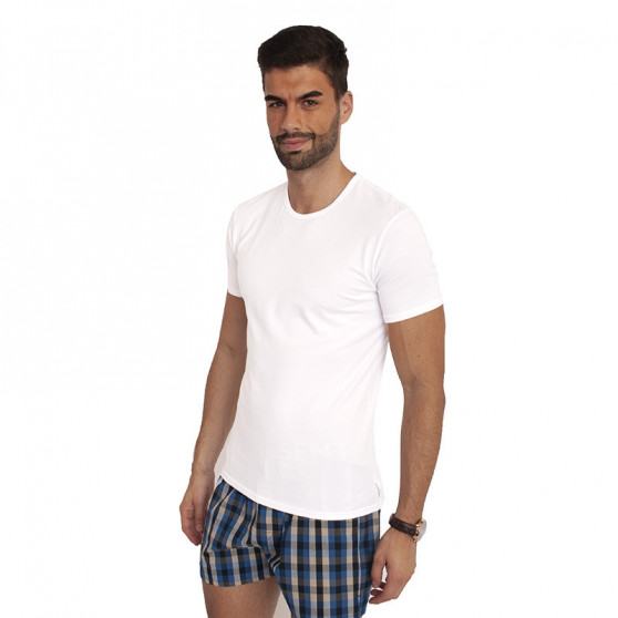 2PACK heren t-shirt Calvin Klein wit (NB1088A-100)