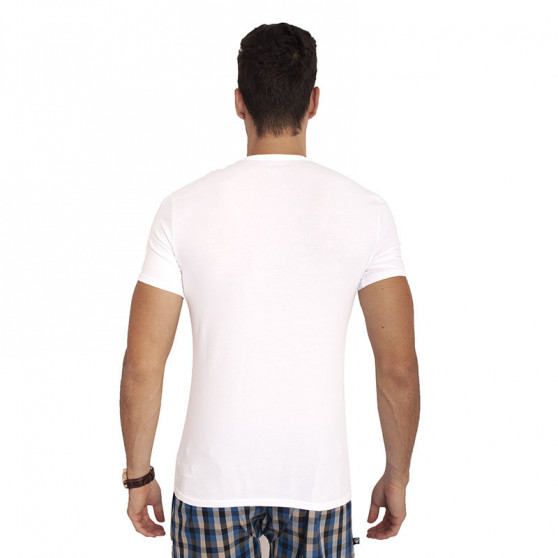 2PACK heren t-shirt Calvin Klein wit (NB1088A-100)